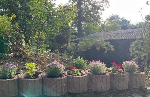 Bogel House | Loreley Hideaway
