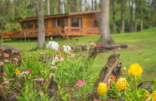Puerto Octay Cabin | Los Lingues Lodge
