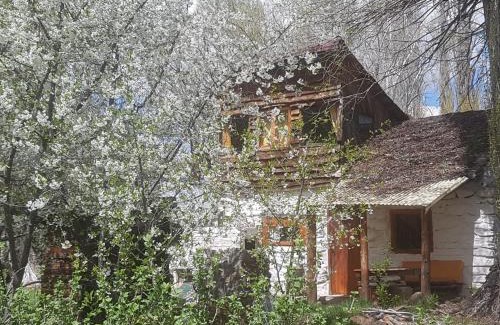 Loncopue Department Ski Chalet | Los Riscos Antigua Cabaña Toba