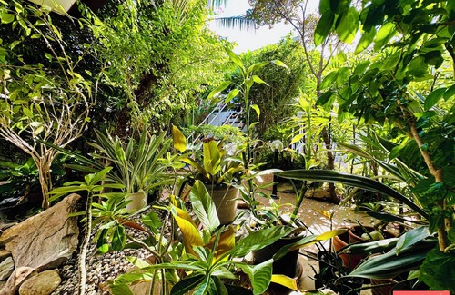 Nong Prue Villa | Los Santos Pattaya Luxury Pool Villa