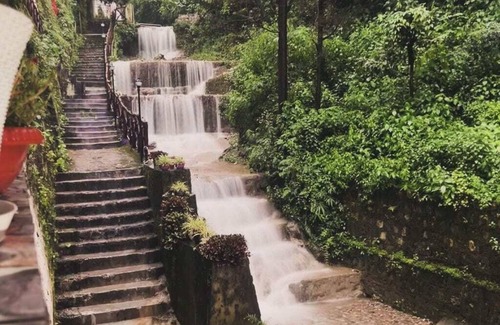 Mussoorie Cabin | Lose yourself in Nature