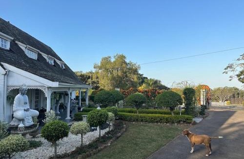 Westville Apartment | Losh Villa