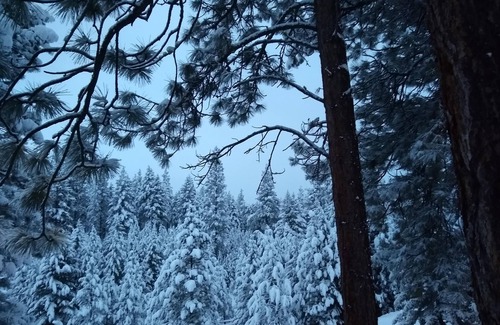 Grantsdale House | Lost horse Resort Cabin 9