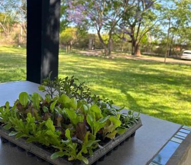 Villa San Lorenzo Apartment | Loto San Lorenzo Loft l Piscina & Naturaleza