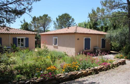 Cebazan House | Lou Daro