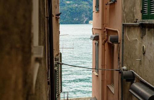 Carate Urio Apartment | Love's corner - by MyHomeInComo