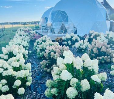 Telsiai county Other | LoveLand Farm Kupolai