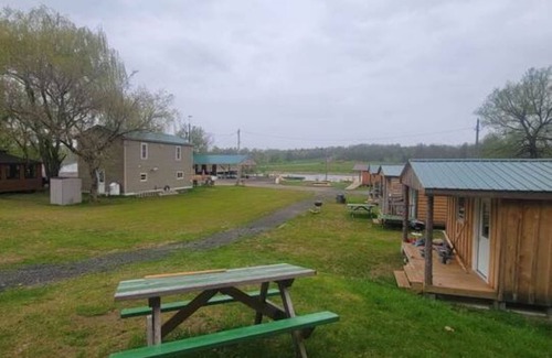 Brier Hill Cabin | Lovely 1-bedroom cabin in Hammond