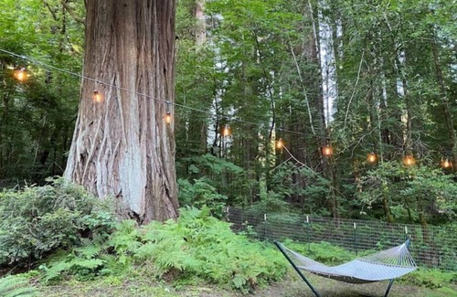 Redway House | Lovely 2 bedroom redwood river retreat.
