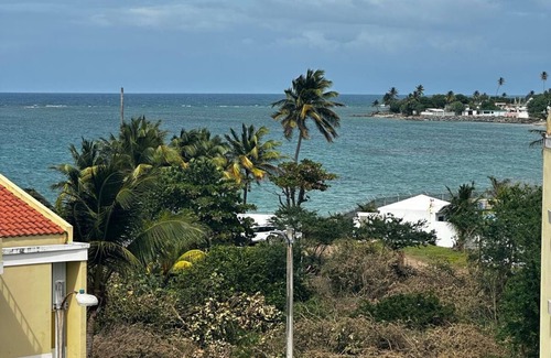 Mediania Alta Apartment | Lovely 3-bedroom 2 bath, ocean view penthouse with beach access and pool.