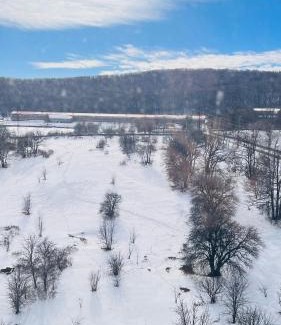 Tsaghkadzor Apartment | Lovely Aparthotel in Tsaghkadzor