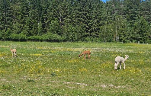 Rygge Municipality Apartment | Lovely Apartment In Sperrebotn With Wifi