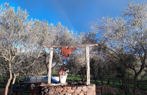 Dorgali Apartment | Lovely apartment in the middle of the green farm(8)