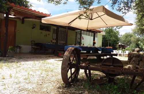 Dorgali Apartment | Lovely apartment in the middle of the green farm(8)