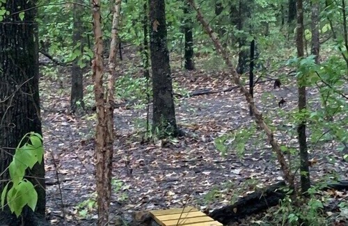 Wood County Cabin | Lovely cabin located on the edge of a stocked pond