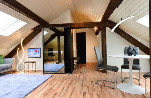 Hirslanden Apartment | Lovely central flats