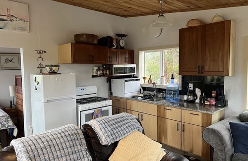 Mountain View Cabin | Lovely Centrally-Located Cabin with fast Wi-Fi. Perfect for E.Hawaii Exploration