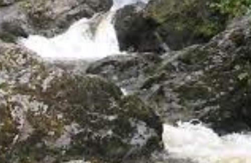 Hixon House | Lovely Creekview beside popular campground