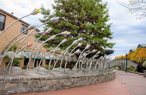 Frederick House | Lovely green townhouse in the heart of Frederick County