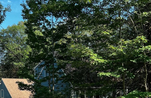 Boothbay Apartment | Lovely King efficiency in peaceful home 5mi. From Boothbay Harbour