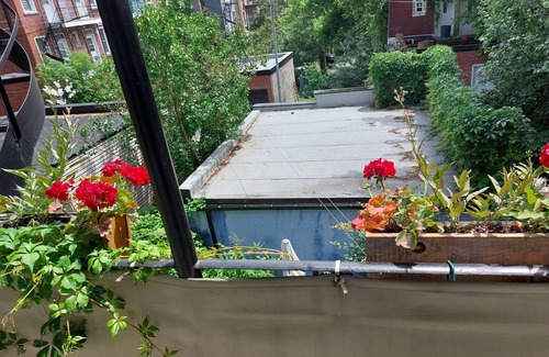 Plateau Mont Royal Apartment | lovely plateau apartment on Parc Laurier