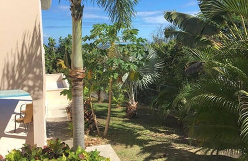 Buckleys Village Apartment | Lovely Self Contained One Bedroom Condo with Pool in the centre of Antigua