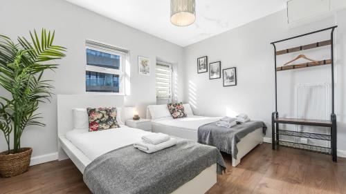 Hackney Apartment | Lovely Studio Flats In Dalston