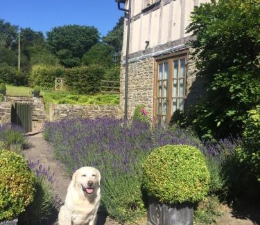 Kington Bed & Breakfast | Lower House Farm B&B, Herefordshire