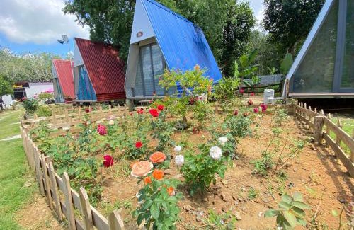 Phuoc Tan Resort | Lucky star resort