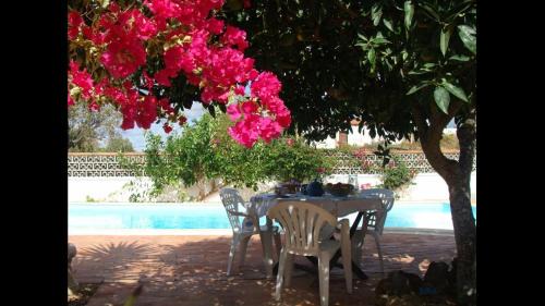 Albufeira House | Lugar das Andorinhas