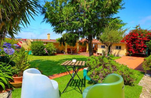 Algueirao - Mem Martins Bed & Breakfast | Lugar Saloio Sintra