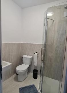 Fagaras House | LukAmi Green Home