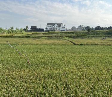 Kediri House | Lumbung Kembar Guest House, Nyanyi