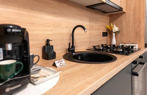 Timisoara Apartment | Luna Residence Timisoara Ap 1