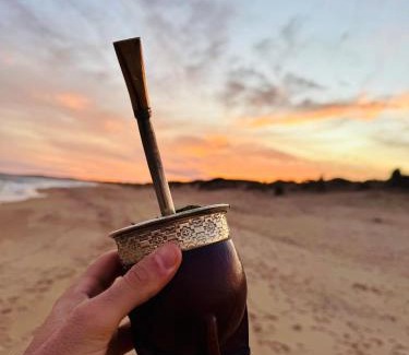 Sauce de Portezuelo House | Lunalunera