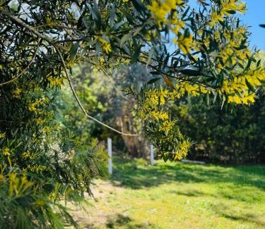 Sauce de Portezuelo House | Lunalunera