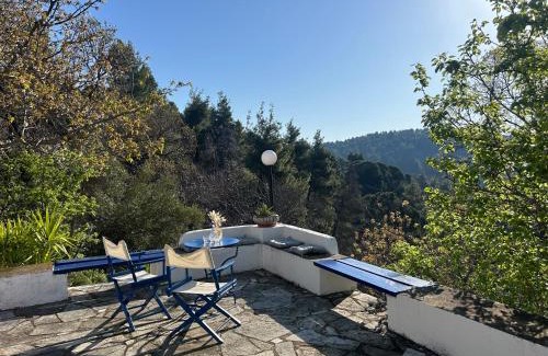 Skopelos House | Lunara Forest Hideaway Pyrgos Skopelos