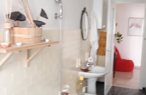 Vanchiglietta Apartment | LUNGO PO-CENTRO is 2 KM FROM THE CENTER OF TURIN A FEW STEPS FROM NATURE.