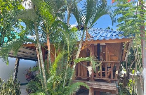 Pai House | Lungsonhouse Pai