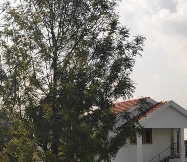 Fern Hill House | Lush Green View Cottage Tea Garden View