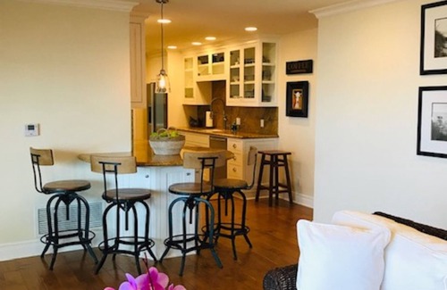 Balboa Peninsula House | LUX Beachfront Casa de Balboa 231 w/AC - Best View