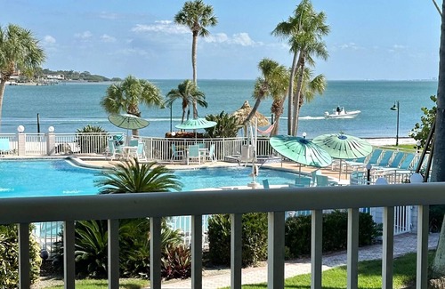 Pinellas Point House | Lux unit w/balcony - Steps to Downtown Attractions, Dining Scene & Beach Access