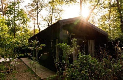 Nunspeet House | Luxe Hottub Japandi Tiny house in het Bos