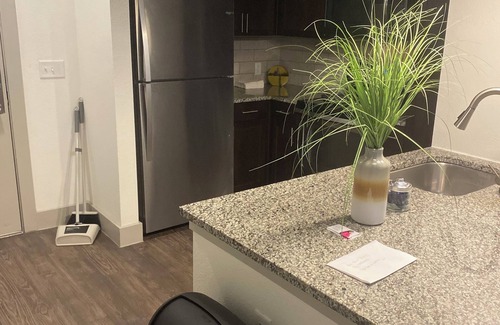 Addison Apartment | Luxurious 1 bedroom in Dallas Area! Free Wi-Fi, Fitness Center and much more!