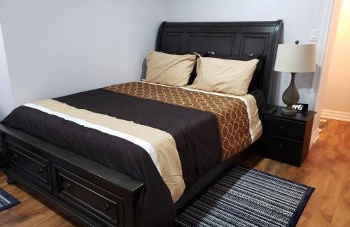 Brampton Apartment | Luxurious 1BR - 1BA Apt Modern Bright with free parking-pc