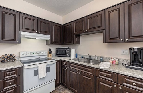 Tarpon Springs Apartment | Luxurious 2 bedroom near Innisbrook Golf Resort!