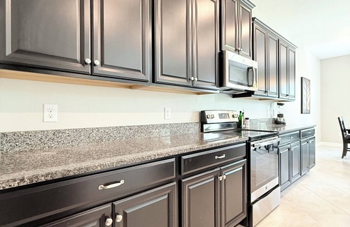 Balm House | LUXURIOUS 4BR HOME IN PRISTINE COMMUNITY WITH HIGH-END AMENITIES-SUN CITY CENTER