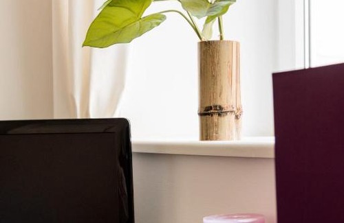 Roßau Apartment | Luxurious and Spacious 5 min walk to city center, 1-2