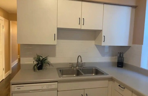 Andersonville Apartment | Luxurious Andersonville Oasis