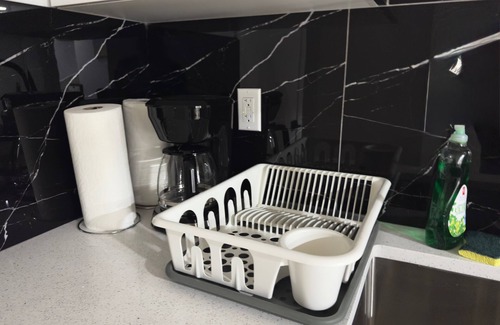 Northeast Edmonton House | Luxurious Brand New 1 BDRM Legal Basement Suite